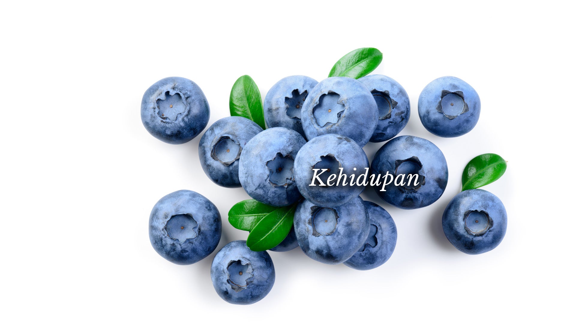 Blueberry dengan daun hijau dan kata 'hidup' tertulis di atasnya